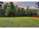 Large backyard surrounded by mature trees, providing a serene and private outdoor space at 5525 Alpine Dr, Summerville, SC 29483