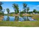 Scenic view of a neighborhood pond reflecting trees under a clear sky, enhancing community charm at 630 Jancus St, Charleston, SC 29414