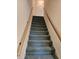 Carpeted stairway featuring wood handrails and leading to the upper level at 70 Legare St, Charleston, SC 29401