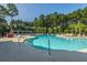 Resort-style pool area with ample seating and lush landscaping for sunny relaxation at 9098 Maple Grove Dr, Summerville, SC 29485