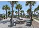 Community fire pit area with seating, palm trees, and views of nearby houses at 112 Whisper Dr, Summerville, SC 29485