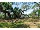 Lush backyard landscape featuring a pier and serene waterfront ambiance at 1195 Framptons Inlet Rd, Edisto Island, SC 29438
