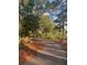 Scenic walking path shaded by mature trees, perfect for leisurely strolls and enjoying the natural surroundings at 1852 Pierce St, Charleston, SC 29492