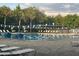 Outdoor community pool with lounge chairs and well-maintained landscaping and mature palms at 1852 Pierce St, Charleston, SC 29492