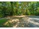 Private backyard featuring a shed, picnic table, and natural surroundings with shade trees at 2468 Marina Rd, Wadmalaw Island, SC 29487