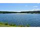 Expansive lake view with sparkling water, lush greenery, and charming homes in the background at 2747 Calico Bass Ln, Johns Island, SC 29455