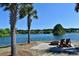 Picturesque lake view featuring palm trees, an outdoor fire pit, and comfortable Adirondack chairs for relaxation at 2747 Calico Bass Ln, Johns Island, SC 29455