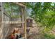 A chicken coop with chickens safely enclosed, providing a natural source of fresh eggs at 803 Burnett Dr, Charleston, SC 29412