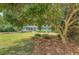 Charming home with beautiful landscaping, a manicured lawn and mature shade tree at 803 Burnett Dr, Charleston, SC 29412