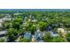 Charming neighborhood aerial view, showcasing lush greenery and beautiful homes at 977 Warrick Oaks Ln, Mount Pleasant, SC 29464