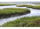 Serene marsh landscape with tidal creeks winding through lush green vegetation at 1495 Keshi Pearl Dr, Mount Pleasant, SC 29466