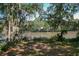Scenic view of the backyard with mature trees, Spanish moss, and river view, offering a tranquil retreat at 2180 Wappoo Hall Rd, Charleston, SC 29412