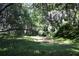 Lush backyard featuring vibrant green foliage and mature trees, creating a private, serene outdoor space at 2180 Wappoo Hall Rd, Charleston, SC 29412