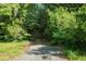 Picturesque driveway leading to a wooded property, promising privacy and seclusion at 2180 Wappoo Hall Rd, Charleston, SC 29412