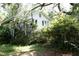 Charming home exterior surrounded by lush greenery and mature trees, creating a private oasis at 2180 Wappoo Hall Rd, Charleston, SC 29412