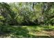 Lush backyard featuring mature trees and ample green space, perfect for outdoor activities at 2180 Wappoo Hall Rd, Charleston, SC 29412