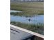 Scenic marsh view featuring aquatic life, highlighting the natural beauty and waterfront access at 221 E Mariners Cay # 221, Folly Beach, SC 29439