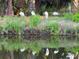 Scenic view of birds next to pond reflecting the trees and sky, creating a serene backdrop at 221 E Mariners Cay # 221, Folly Beach, SC 29439