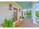 Cozy front porch with stylish lighting, a wooden door, and decorative potted plants at 2269 Hartfords Bluff Cir, Mount Pleasant, SC 29466