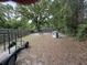 Spacious backyard with playground equipment at 715 Yew St, Charleston, SC 29407