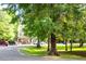 Picturesque neighborhood street view with mature trees and well-maintained landscaping at 107 Twin Tree Dr, Summerville, SC 29485