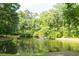 Scenic pond surrounded by lush trees offers a tranquil setting and a touch of nature at 107 Twin Tree Dr, Summerville, SC 29485