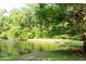 Picturesque pond surrounded by trees provides a serene view and an element of natural beauty at 107 Twin Tree Dr, Summerville, SC 29485