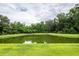 Serene pond surrounded by lush greenery and trees, offering a peaceful natural setting at 228 Donatella Dr, Goose Creek, SC 29445