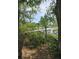 Scenic shot of a private wooden dock extending into a tranquil marsh, framed by lush trees at 261 Mossy Oak Way, Mount Pleasant, SC 29464