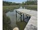A weathered wooden dock extends into a calm marsh, reflecting the overcast sky above at 261 Mossy Oak Way, Mount Pleasant, SC 29464