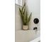 Detail of the bathroom with a potted plant next to the soaking tub at 2900 Split Hickory Ct, Johns Island, SC 29455