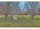 Leafy backyard with green grass and mature trees provides shade for outdoor seating at 307 Glen St, Summerville, SC 29483