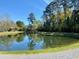 Scenic pond reflecting lush trees and a clear blue sky at 3203 Moonlight Dr, Charleston, SC 29414