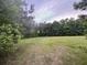 Expansive green grass-covered vacant lot with surrounding lush trees against a cloudy sky at 351 Duncan Chapel Rd, Harleyville, SC 29448