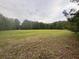 Expansive green grass-covered vacant lot with surrounding lush trees against a cloudy sky at 351 Duncan Chapel Rd, Harleyville, SC 29448