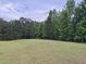 Picture of a grassy vacant lot surrounded by tall, lush trees against a cloudy skyline at 351 Duncan Chapel Rd, Harleyville, SC 29448