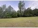 Expansive grassy vacant lot dotted with tall trees on a partly cloudy day, potential for development at 351 Duncan Chapel Rd, Harleyville, SC 29448
