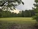 Picture of a grassy vacant lot surrounded by tall, lush trees against a cloudy skyline at 351 Duncan Chapel Rd, Harleyville, SC 29448