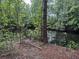 View of a still pond surrounded by a dense forest; serene and reflective at 351 Duncan Chapel Rd, Harleyville, SC 29448