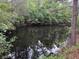 Reflective pond surrounded by lush greenery; a peaceful natural setting at 351 Duncan Chapel Rd, Harleyville, SC 29448