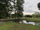 Scenic pond reflecting the sky, surrounded by lush trees and well-maintained green grass at 351 Duncan Chapel Rd, Harleyville, SC 29448