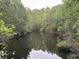 Scenic view of a tranquil pond surrounded by lush trees, enhancing the natural landscape at 351 Duncan Chapel Rd, Harleyville, SC 29448