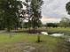 Scenic pond reflecting the sky, surrounded by lush trees and well-maintained green grass at 351 Duncan Chapel Rd, Harleyville, SC 29448