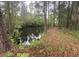 Scenic view of a pond bordered by lush trees and foliage, with a path along the edge at 351 Duncan Chapel Rd, Harleyville, SC 29448