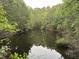 Scenic view of a tranquil pond surrounded by lush green trees and vegetation at 351 Duncan Chapel Rd, Harleyville, SC 29448