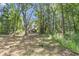 View of the backyard, revealing a home partially concealed among dense trees and foliage at 5375 Highway 174, Adams Run, SC 29426