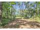 A view of the spacious backyard, enveloped by a canopy of trees and foliage at 5375 Highway 174, Adams Run, SC 29426
