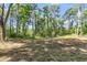 Picture of lot area surrounded by luscious green trees and foliage at 5375 Highway 174, Adams Run, SC 29426