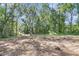 Spacious lot with trees surrounding the home creating a private natural setting at 5375 Highway 174, Adams Run, SC 29426