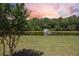 Serene backyard with lush greenery, pond with fountain at 546 Sea Foam St, Summerville, SC 29486